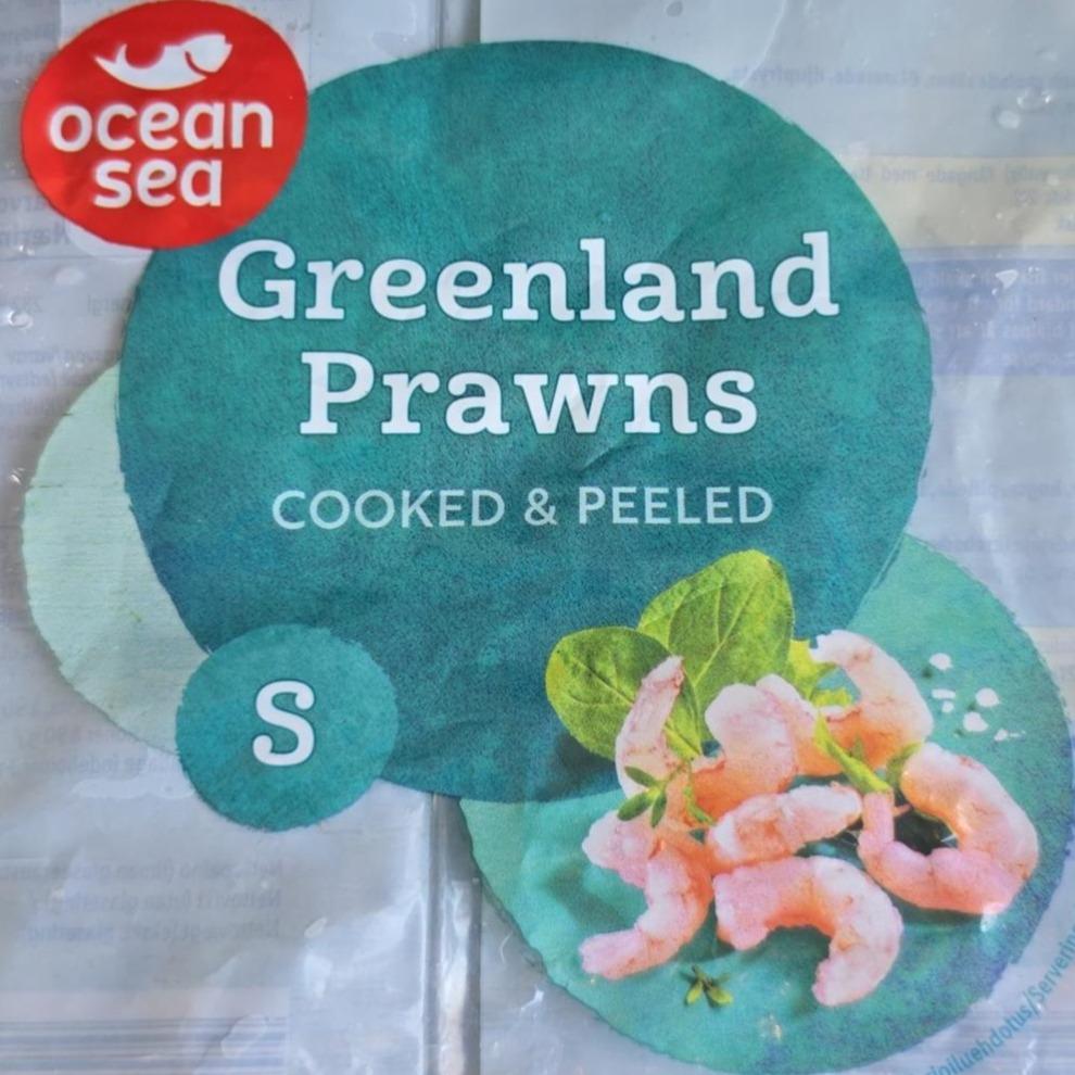 Фото - Greenland prawns cooked, peeled & frozen Ocean Sea