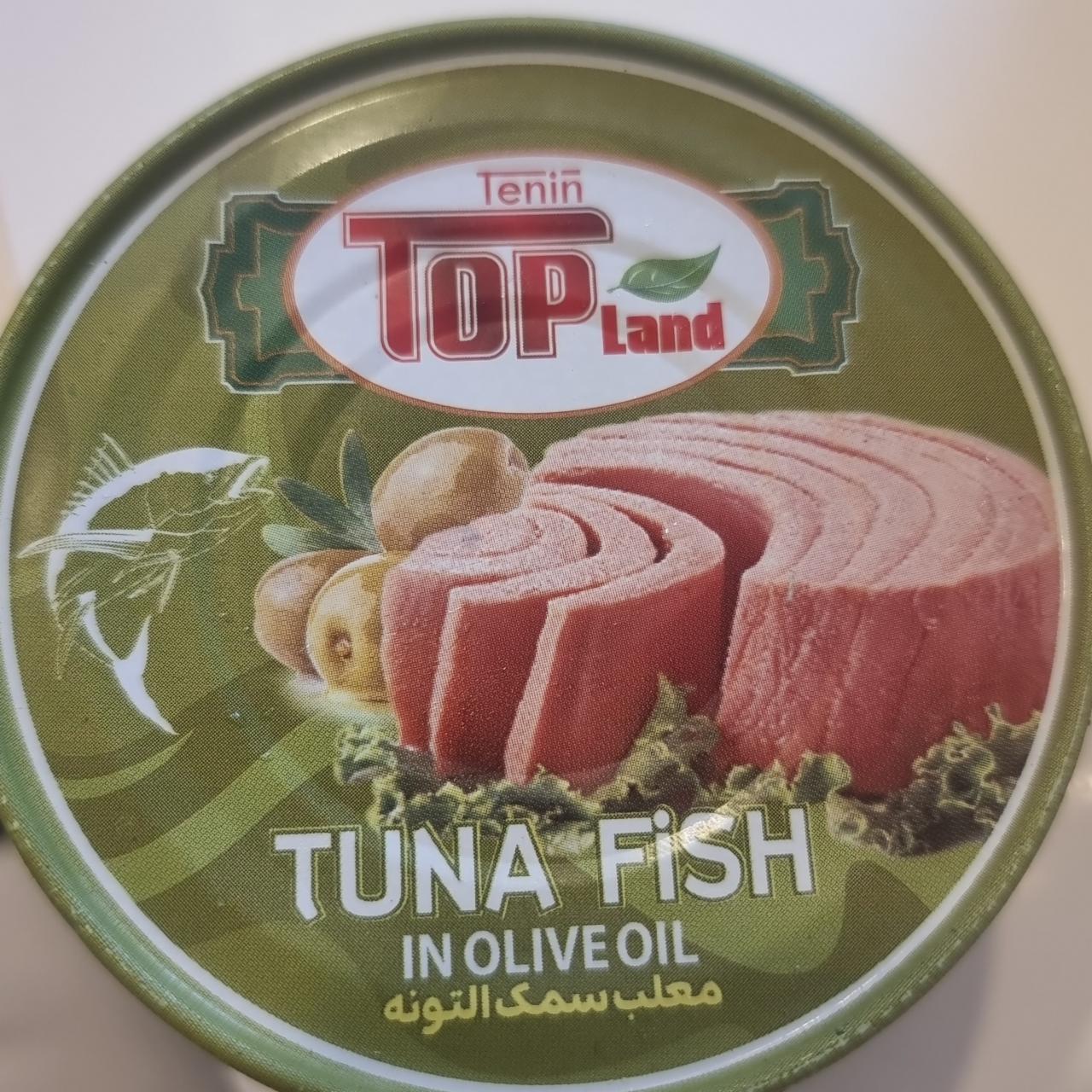 Фото - Tuna Fish in Olive Oil Topland