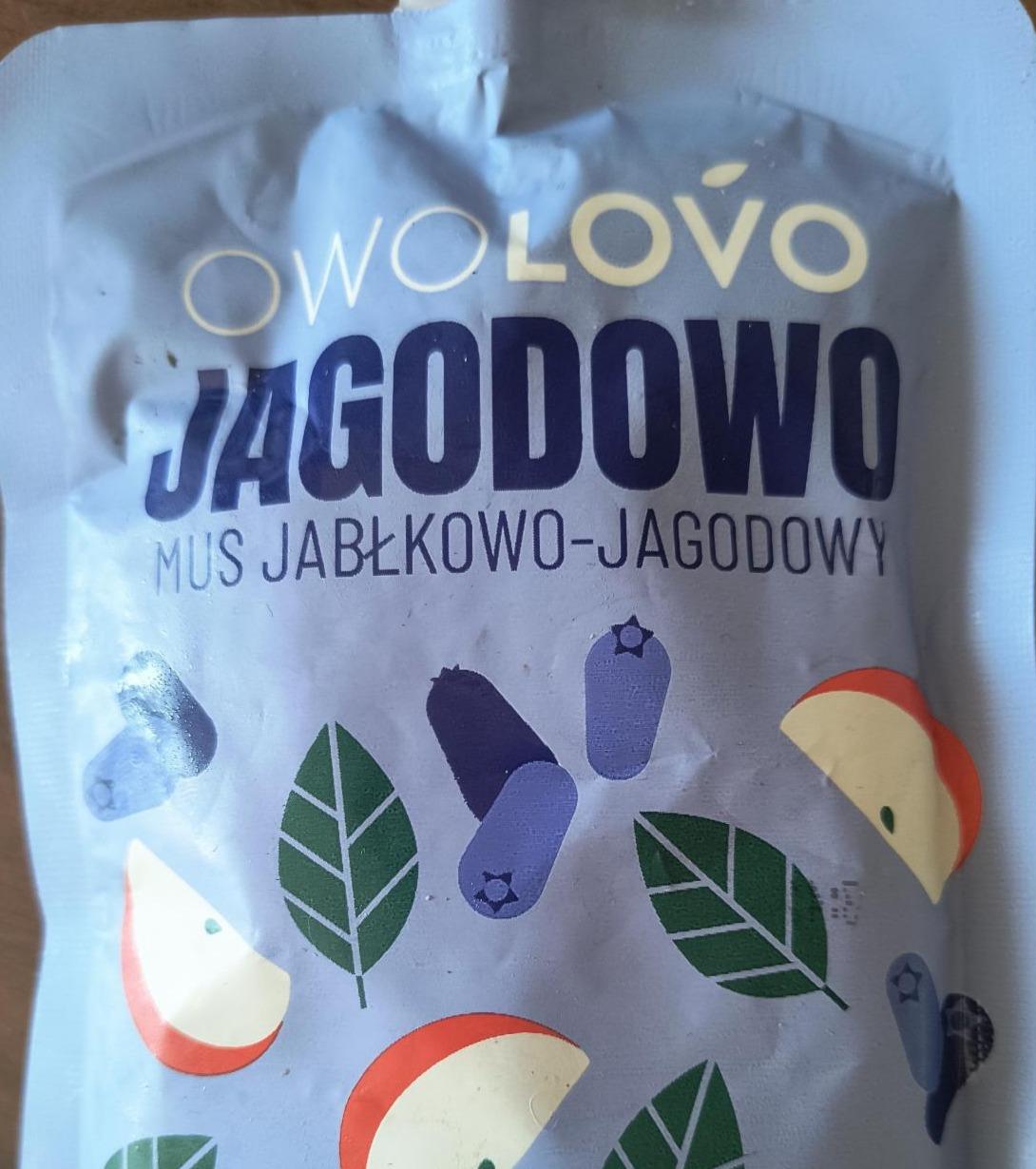 Фото - Мусс яблочно-черничный Mus jabłkowo-jagodowy Owolovo