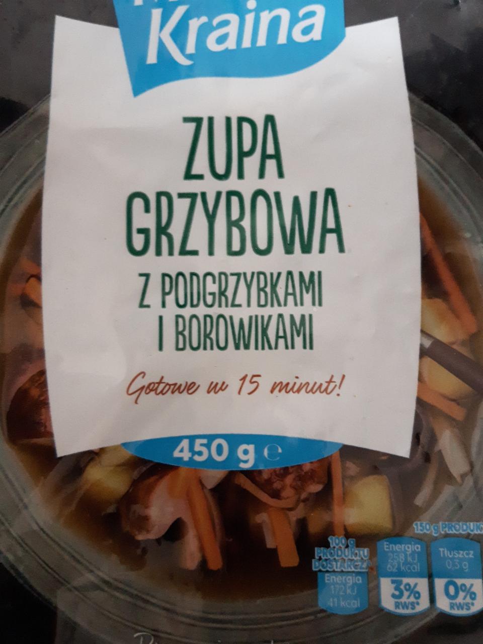 Фото - Zupa grzybowa Mroźna Kraina