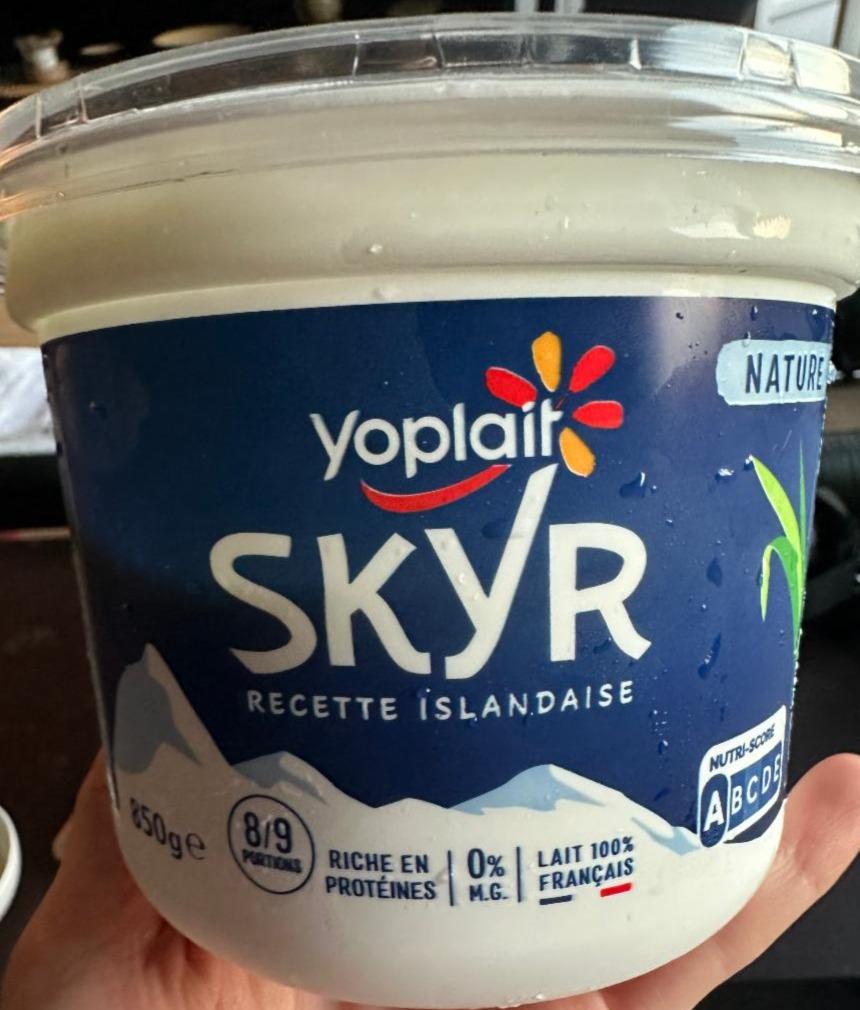 Фото - Skyr recette islandaise Yoplait