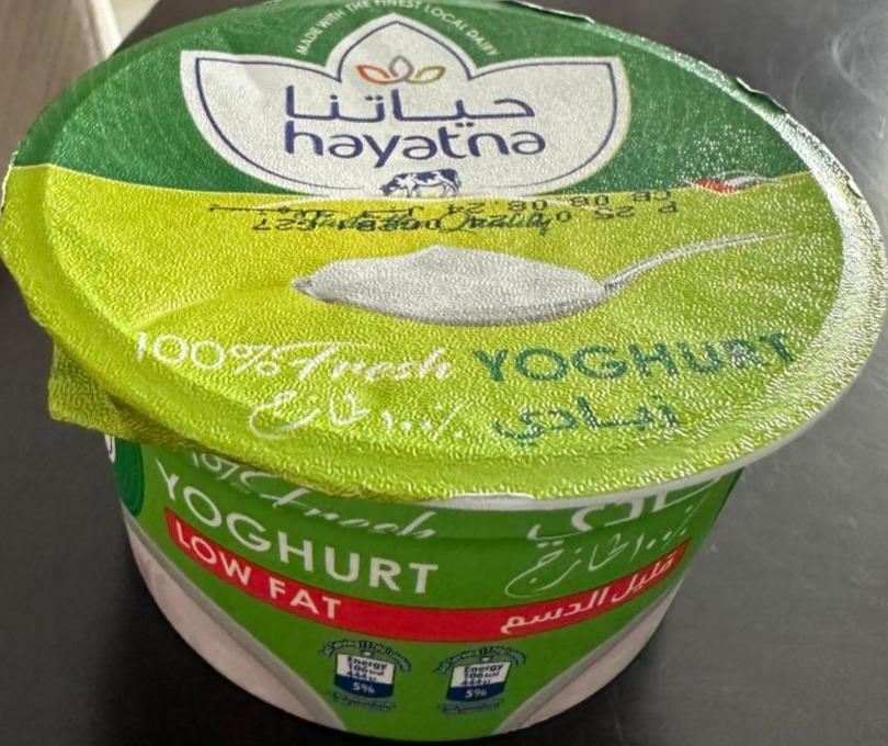 Фото - Yoghurt low fat Hayatna