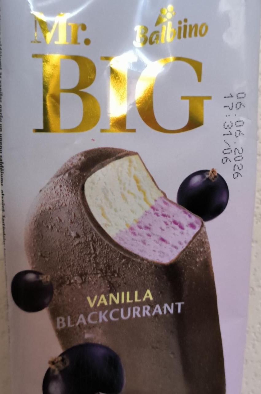 Фото - Balbino vanilla blackcurrant Mr.Big Balbiino