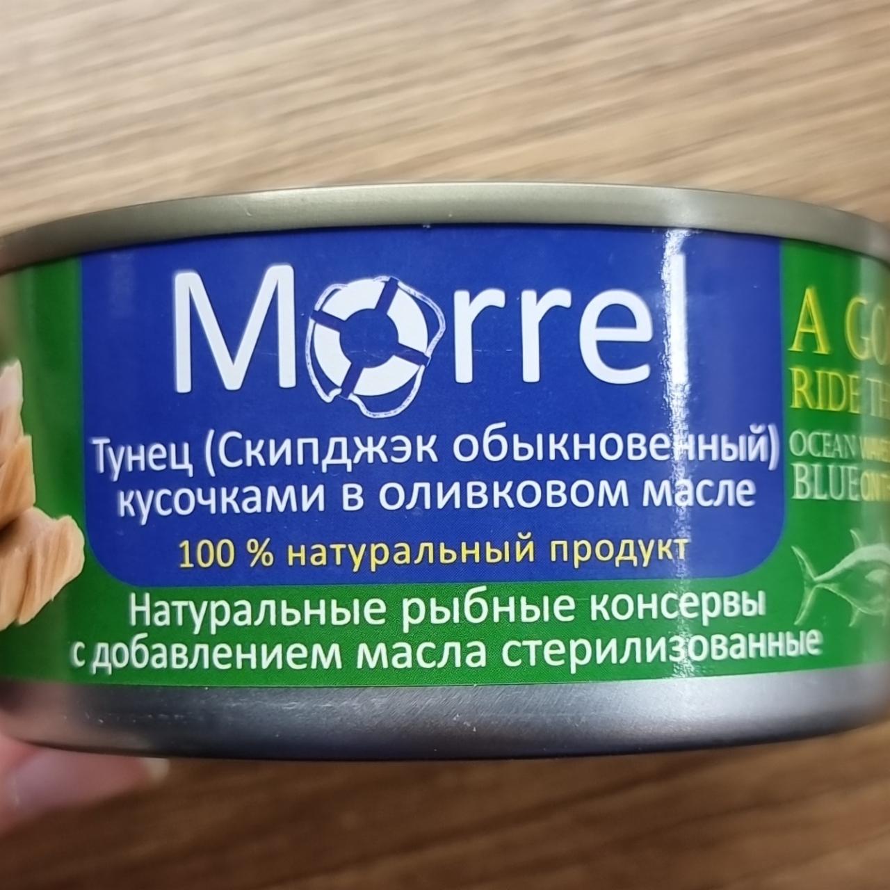 Фото - Тунец кусочками в оливковом масле Morrel