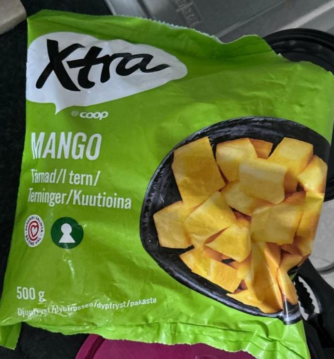 Фото - Mango Xtra