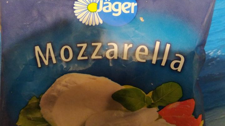 Фото - Сыр мягкий Mozzarella 45% жира в рассоле Jäger