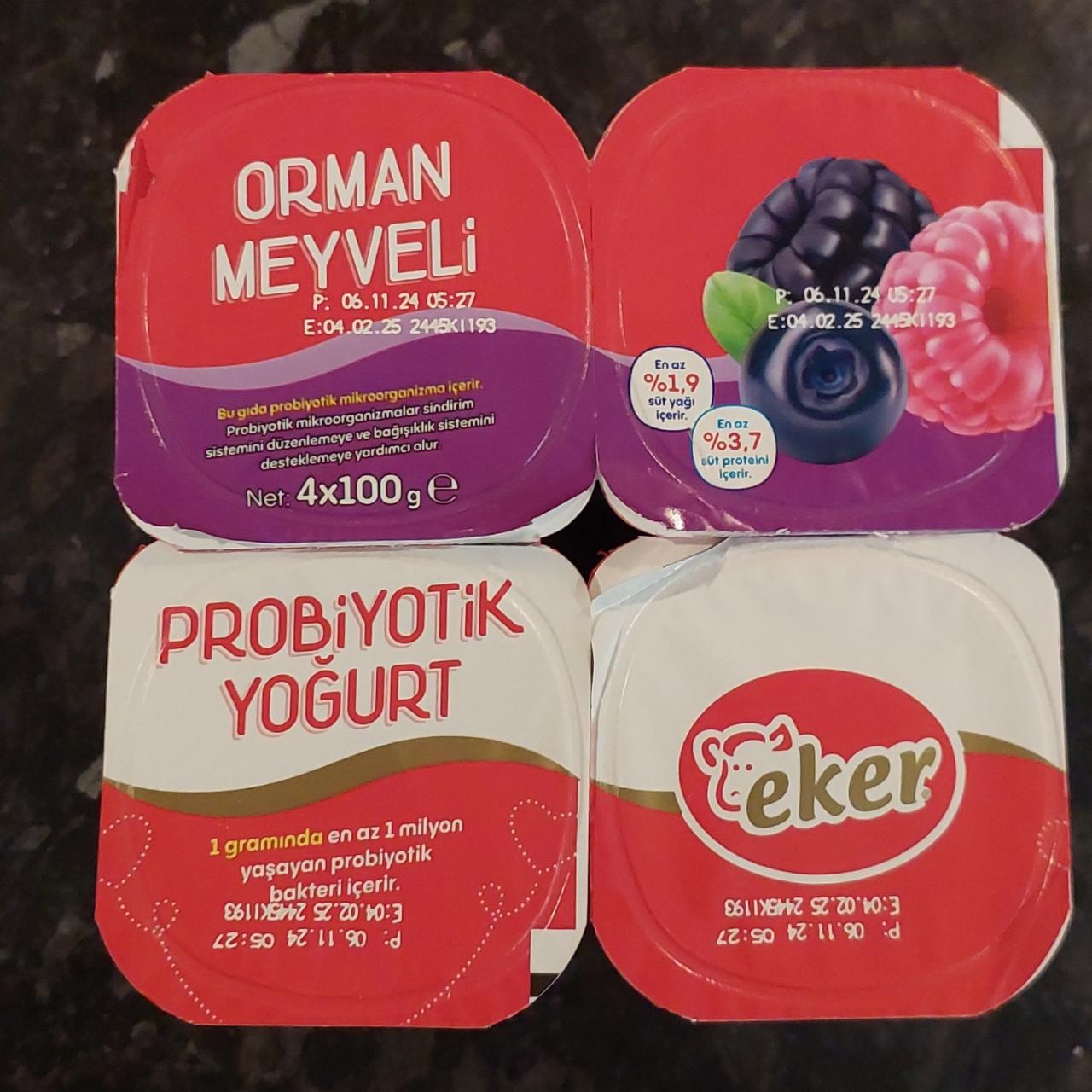 Фото - Yogurt Orman Meyveli Eker