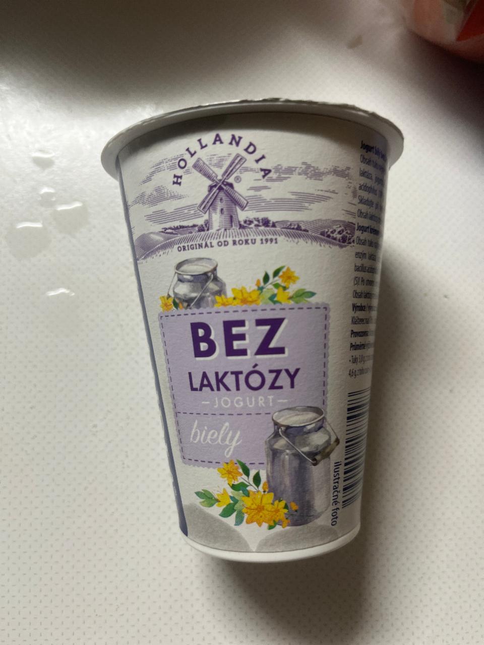 Фото - Jogurt bily bez laktozy Hollandia