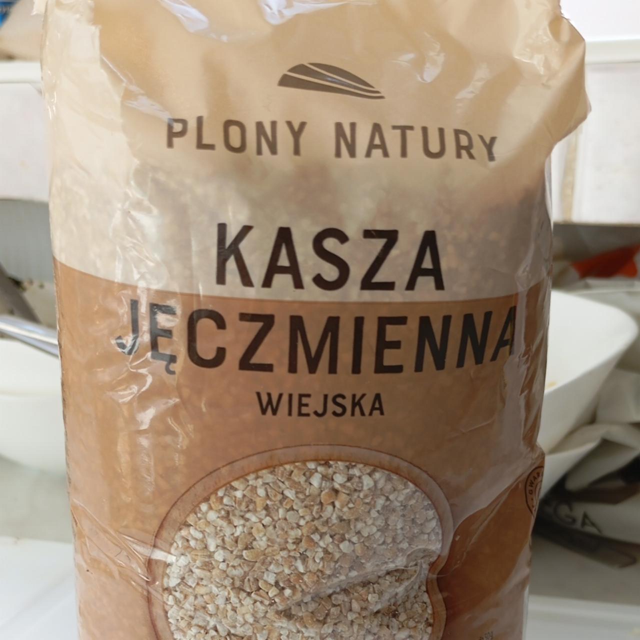 Фото - kasza pęczak jęczmienny plony natury