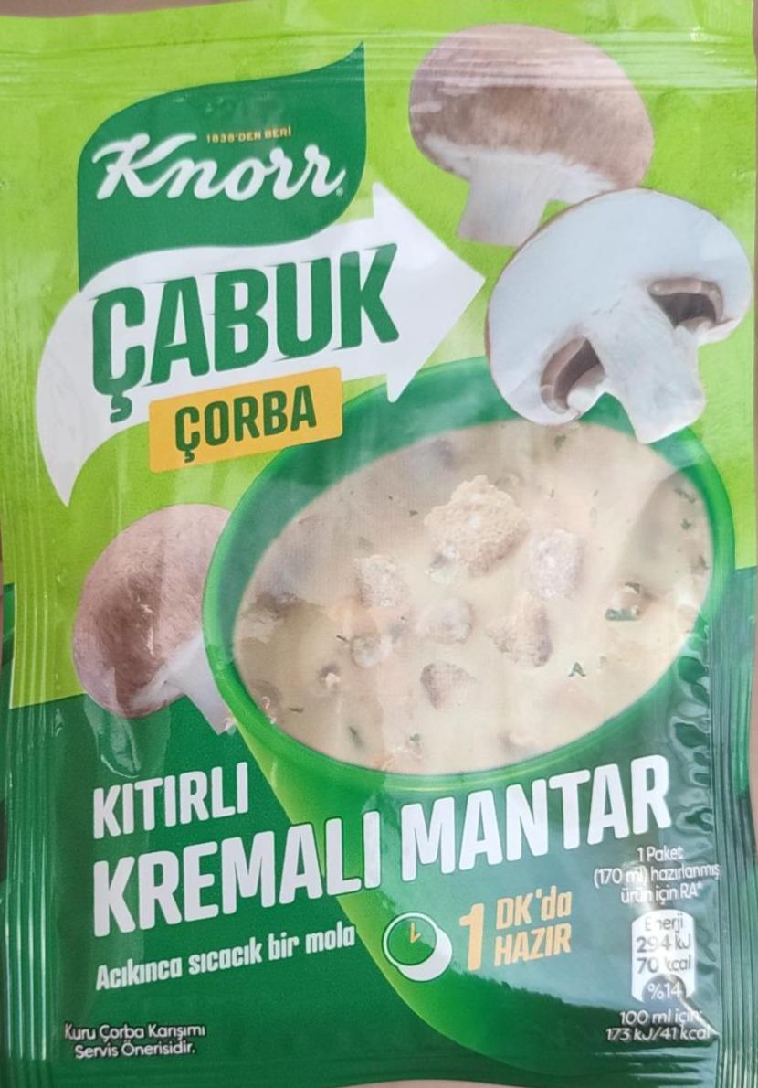 Фото - Сabuk corba kitirli kremali mantar Knorr